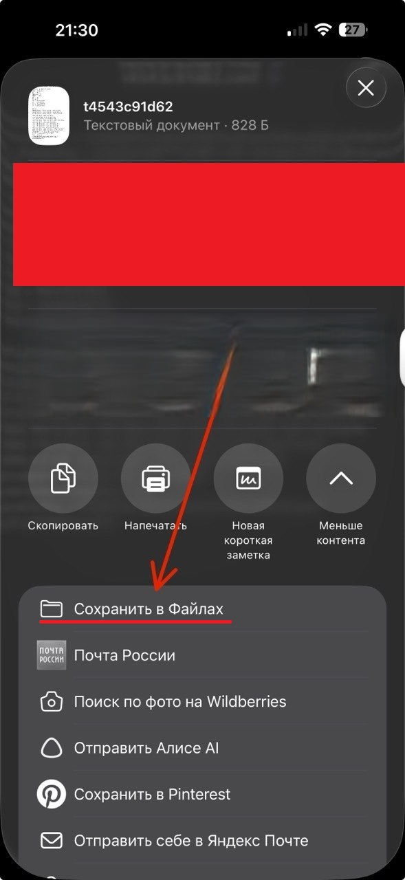 iPhone: Сохранить в файлы