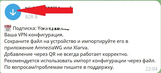 Windows: файл конфигурации в Telegram